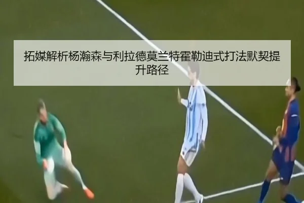 拓媒解析杨瀚森与利拉德莫兰特霍勒迪式打法默契提升路径
